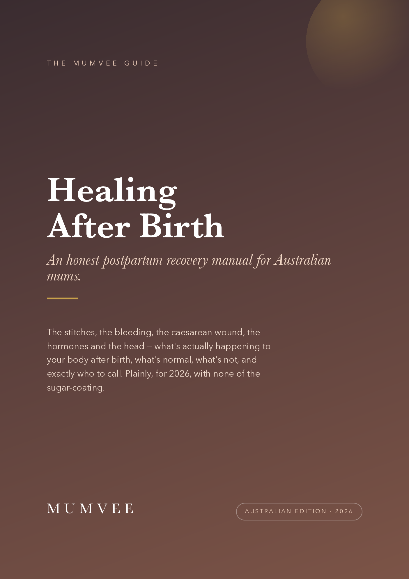 The Postpartum Recovery Guide cover